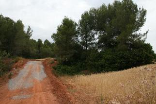El Consell Comarcal aposta per la gestió de la biomassa per generar energia renovable i prevenir incendis