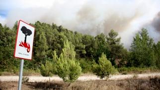 La sequera col·loca en situació “crítica” els boscos de Sabadell 