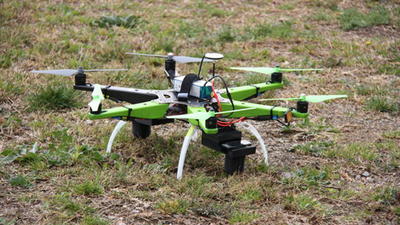 Els alts nivells de pol·len d'aquesta primavera poden derivar en més casos d'al·lèrgies