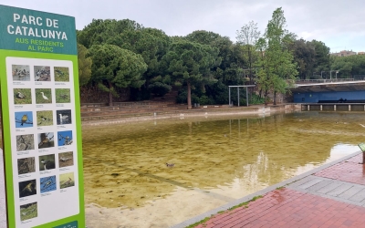 El llac del Parc Catalunya abans del buidatge