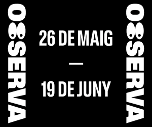 Festival Observa a Sabadell 2