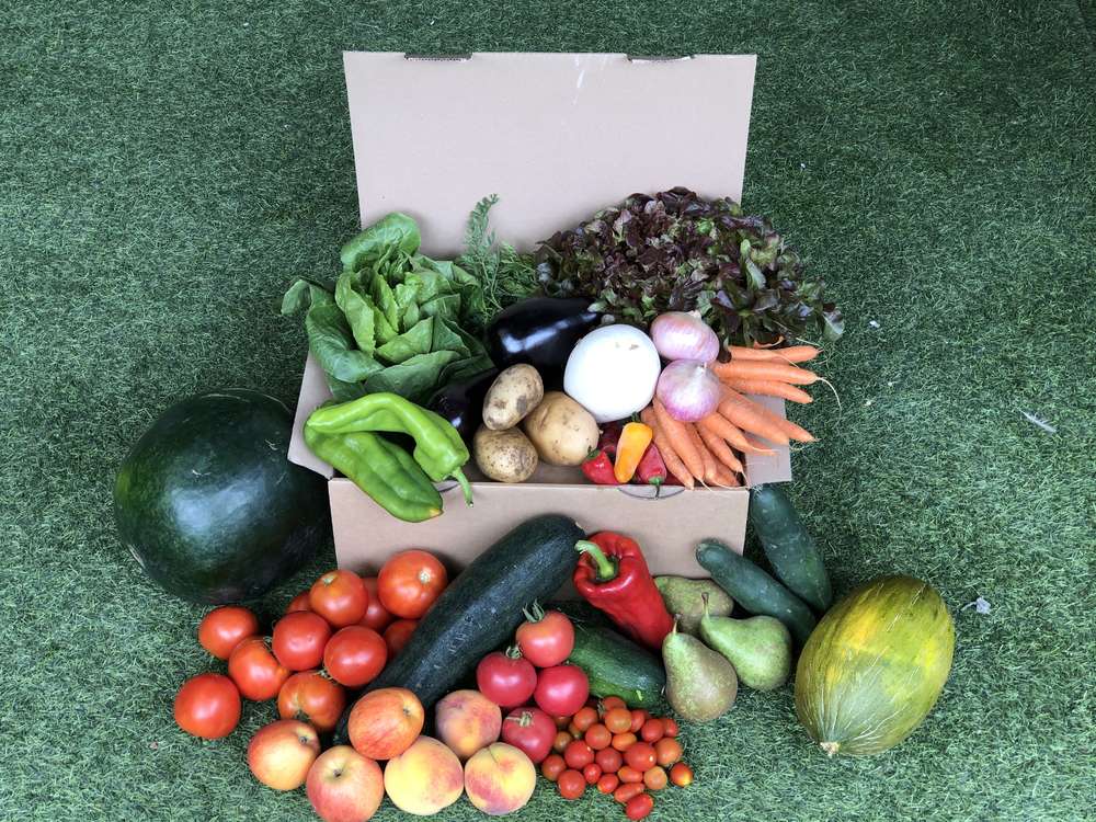 La Cistella de Montgai