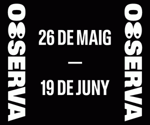 Festival Observa a Sabadell 2