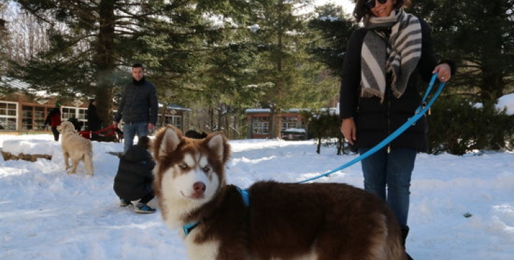 Gossos amb els seus propietaris a Santa Fe del Montseny | ACN 