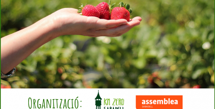 Imatge del cartell promocional | Cedida 