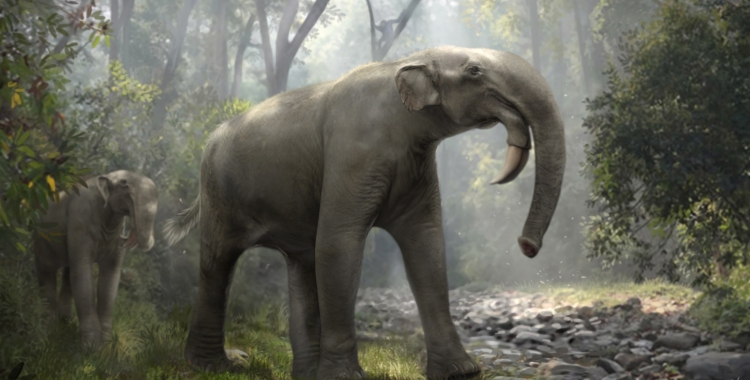 Recreació de dos exemplars de dinoteri | Oscar Sanisidro (Cosmocaixa)