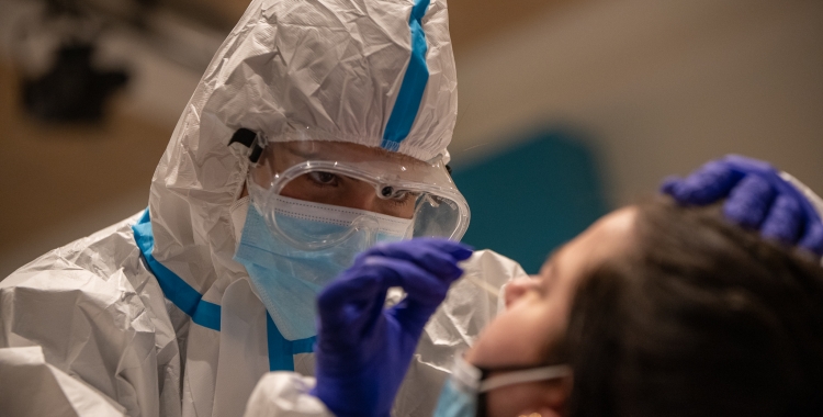 Imatge d'una prova PCR/ Roger Benet