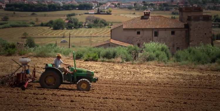 Fotograma del documental 'Flor i tavella' | Youtube