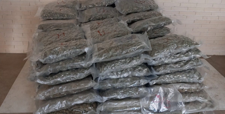 Les bosses de marihuana | Mossos d'Esquadra