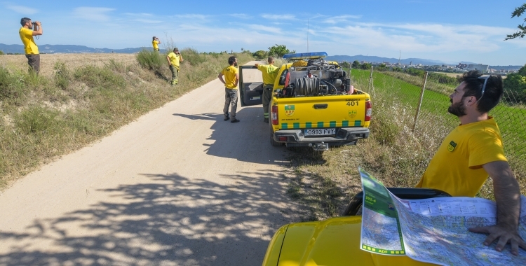 Voluntaris de l'ADF fent treballs de prevenció al rodal 
