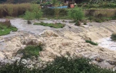 Estat del Ripoll aquest cap de setmana