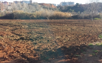 Les parcel·les adequades a l'horta d'en Romau fan un total de 90 metres quadrats.