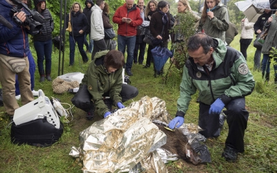 Investigadors de la UAB preparant un exemplar de senglar per administrar-li la vacuna | ACN