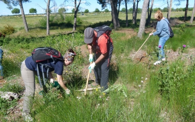 Les jornades fetes fins ara han comptat amb un total de 2.400 participants/ Cedida Espai Natura
