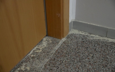 Imatge dels pisos afectats per les xinxes on s'ha començat a actuar avui | Roger Benet