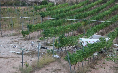 L'avioneta s'havia enlairat a l'aeroport de la ciutat i s'ha estavellat al Baix Penedès | ACN