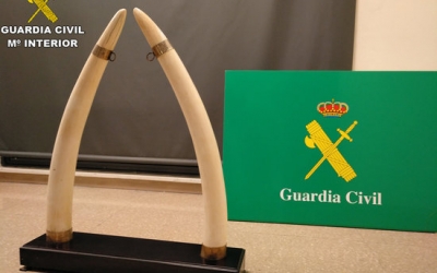 Imatge dels dos ullals intervinguts | Guàrdia Civil