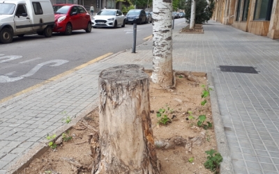 Un dels escocells malmesos/ Karen Madrid