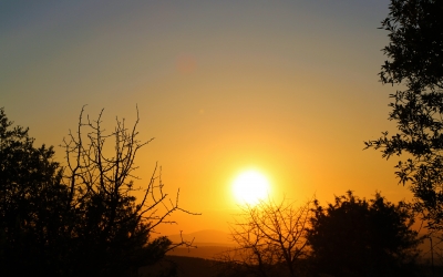 L'Hospital Taulí atén 60 pacients nous de melanoma cada any | Cedida