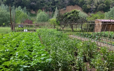 L'Ajuntament i la UAB implementaran un projecte d'agricultura urbana i tradicional a la ciutat | Cedida