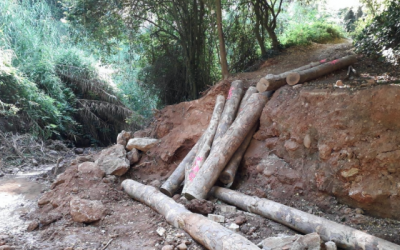 Les obres han començat a mitjans de juliol i es preveu que acabin abans d'acabar el mes | Ajuntament de Sabadell 