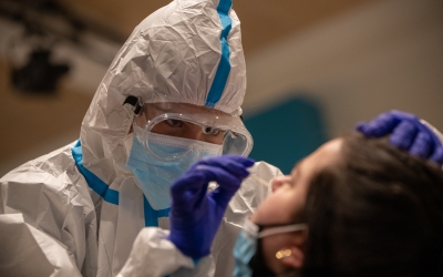 Imatge d'una prova PCR/ Roger Benet
