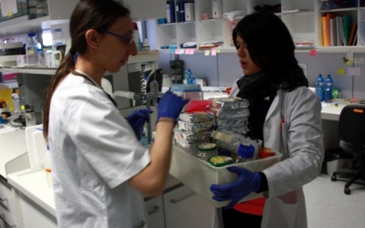 La bretxa salarial és present en totes les professions/ Cedida