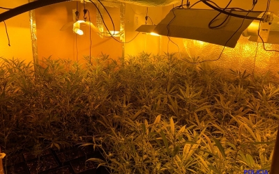 Decomís de 200 plantes de marihuana al carrer Antilles | Policia Municipal