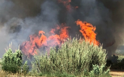 Un incendi de matolls/ ACN