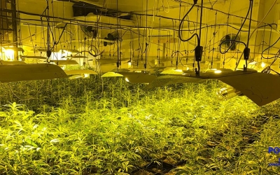 Imatge del local on s'han decomissat les plantes/ Policia Municipal