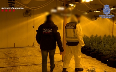 Pla mitjà dels agents intervenint una de les naus on s'estava cultivant marihuana | Cedida