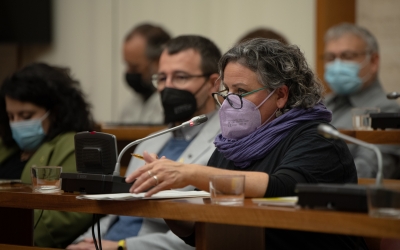 La portaveu Nani Valero al plenari municipal | Roger Benet