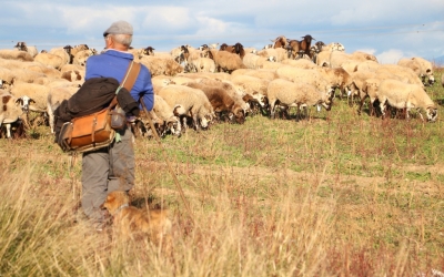 El Vallès perd la meitat del seu terreny agrícola en 40 anys | Cedida