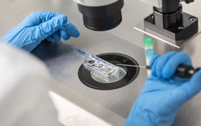 Imatge d'un laboratori | Cedida