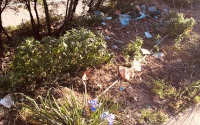 Brutícia acumulada al Passeig de la Revolució/ AV Covadonga