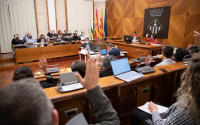 Un moment de la votació del Ple/ Roger Benet