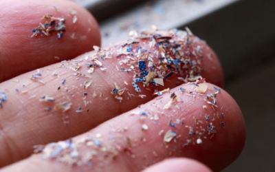 Imatge de microplàstics/ UAB