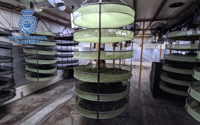 Part de la droga decomissada | Policia Nacional