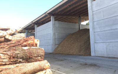 Oberta la licitació del servei públic comarcal de biomassa forestal | Cedida