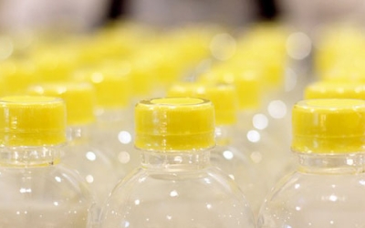 L'exposició a certs químics pot determinar un lleuger avançament de l'inici de la pubertat en les criatures