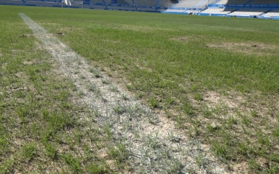 Aquest és l'estat actual de la gespa de la NCA | Roger Benet