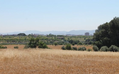 El Parc Agrari de Sabadell, sense treballar/ Ajuntament