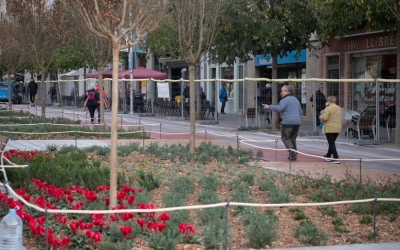 Imatge de les flors que s'han plantat al nou Passeig | Roger Benet