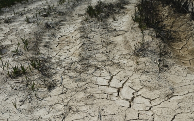 Una terra desèrtica/ Pexels