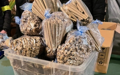 Material decomissat al club cannàbic/ Cedida Mossos