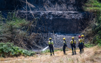 Incendi al Ripoll de l'estiu passat | Roger Benet