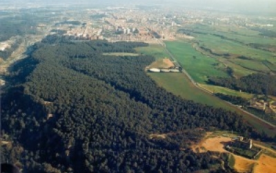 El Bosc de Can Deu | Espai Natura