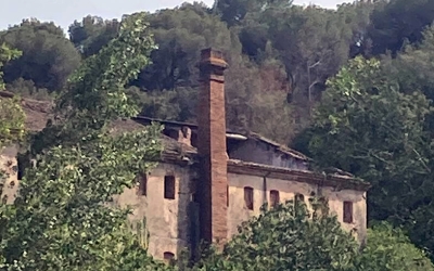 Imatge de la coberta esfondrada del Molí d'en Mornau/ Isidre Soler
