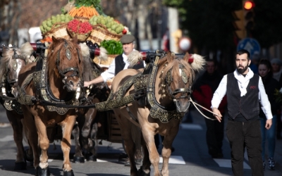 Sant Antoni 2020 | Roger Benet