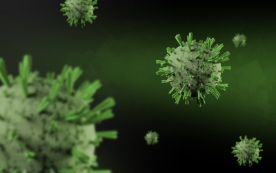 El pic de la grip supera el de l'any passat | Daniel Dan